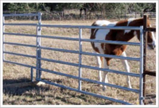 Horse Fence Panel